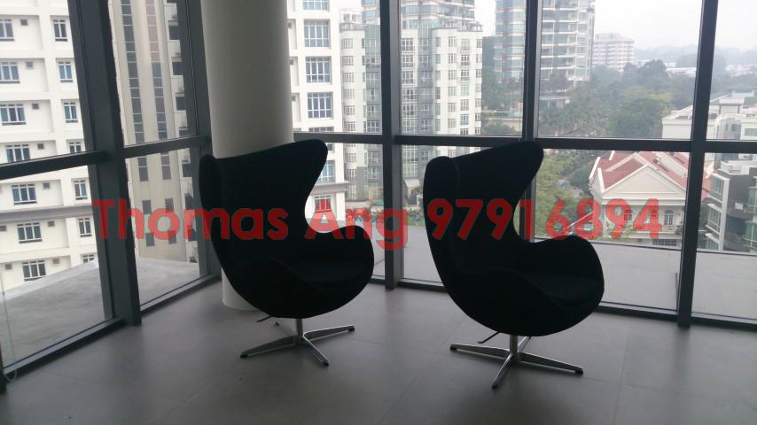 Fifteen Robin (D10), Condominium #88390652